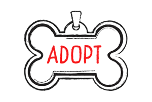 Dogs For Adoption